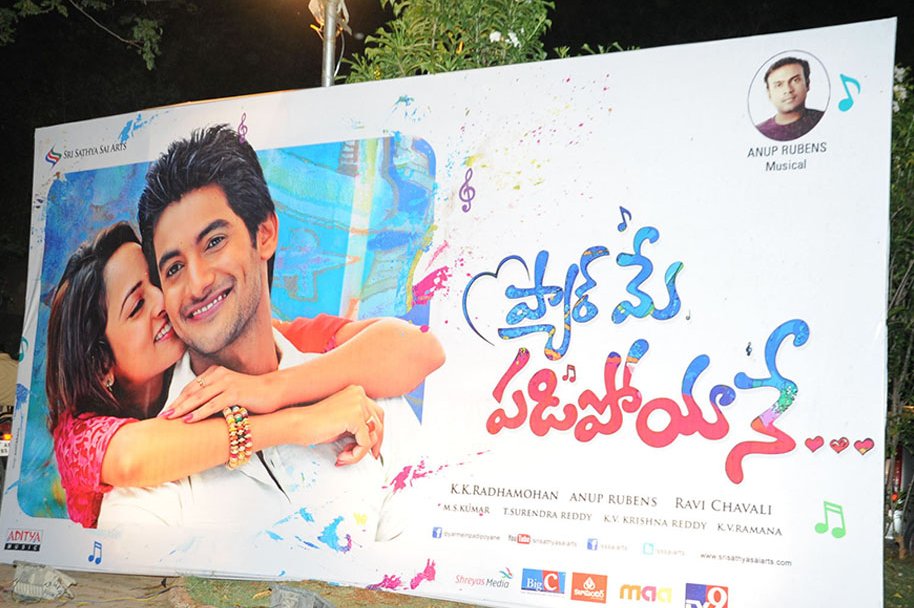 Pyaar-Mein-Padipoyane-Audio-Launch